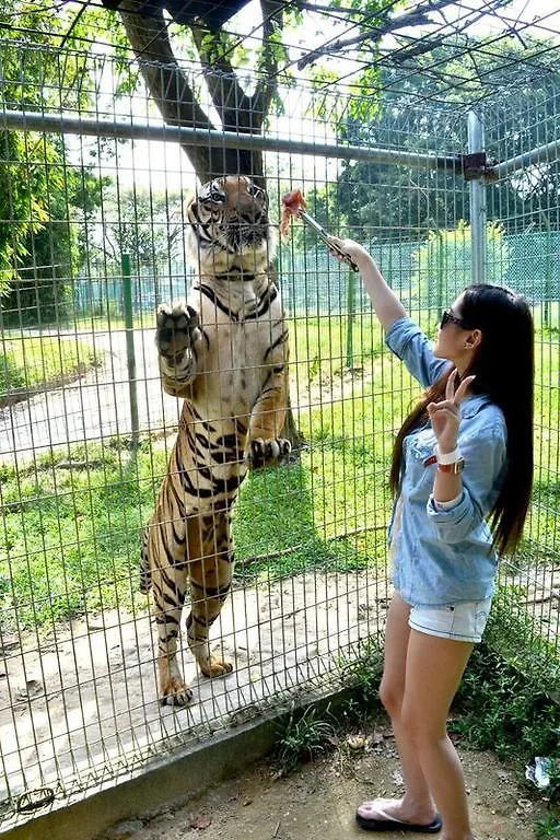爱法摩沙度假村 Malacca 度假村
